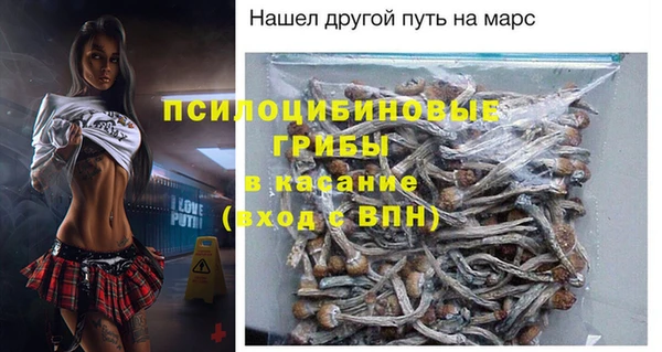 амф Алексин