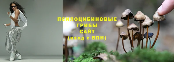 apvp Абдулино