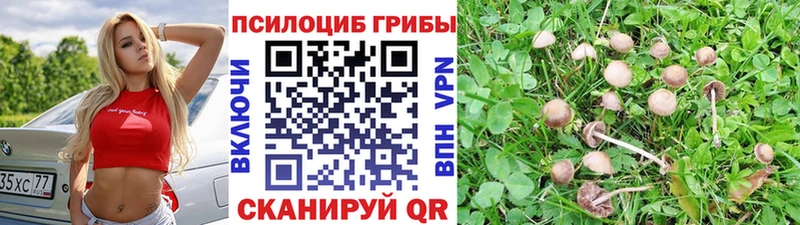 Галлюциногенные грибы прущие грибы  продажа наркотиков  Карабаново 